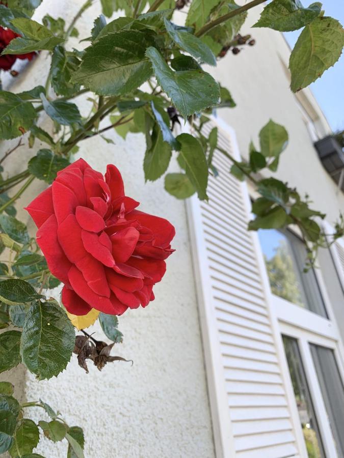 فيلا Insel Hus فيهمارن المظهر الخارجي الصورة